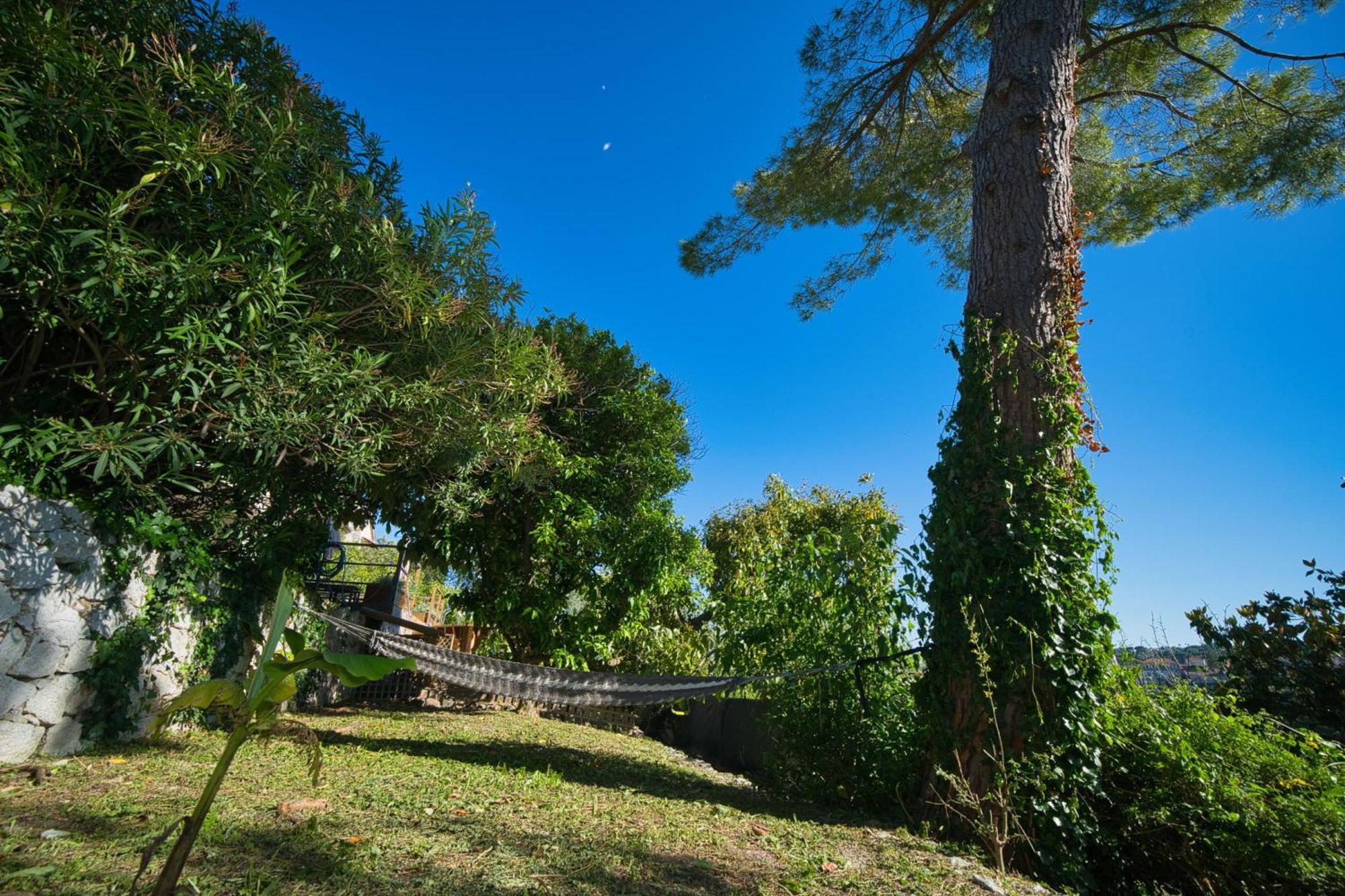 06Q - Biot Beautiful Provencal Villa With Swimming Pool Bagian luar foto
